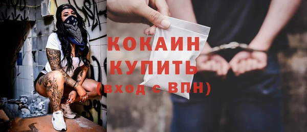 индика Гусиноозёрск