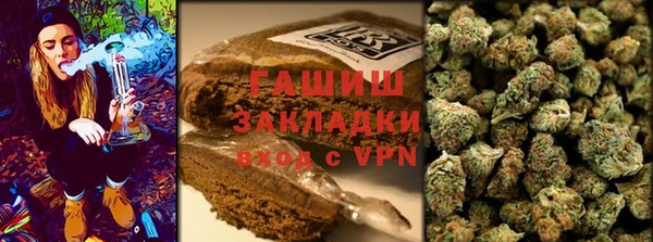 ГАЛЛЮЦИНОГЕННЫЕ ГРИБЫ Гусев