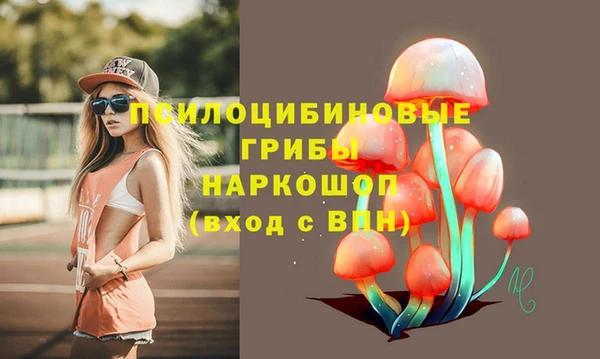 метамфетамин Алексин